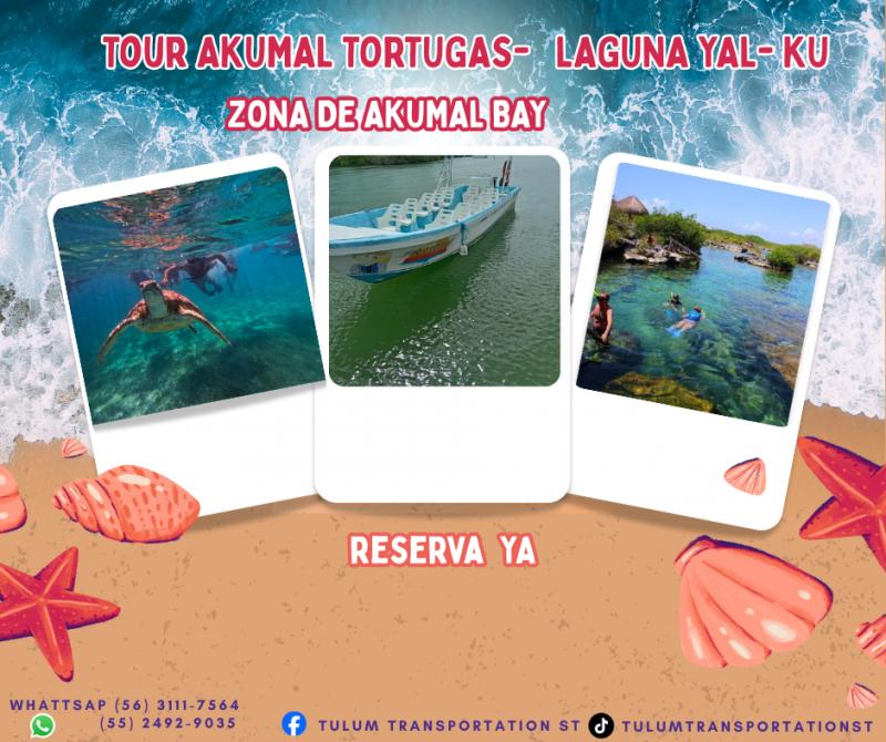 TOUR AKUMAL TORTUGAS- LAGUNA YAL- KU 